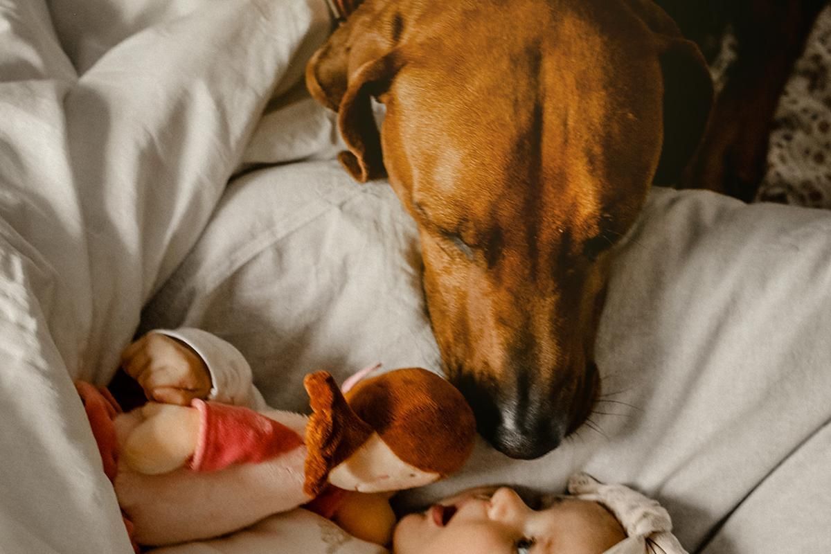 Baby Fotoalbum Bayreuth – Fotostadl Sabrina Redlich